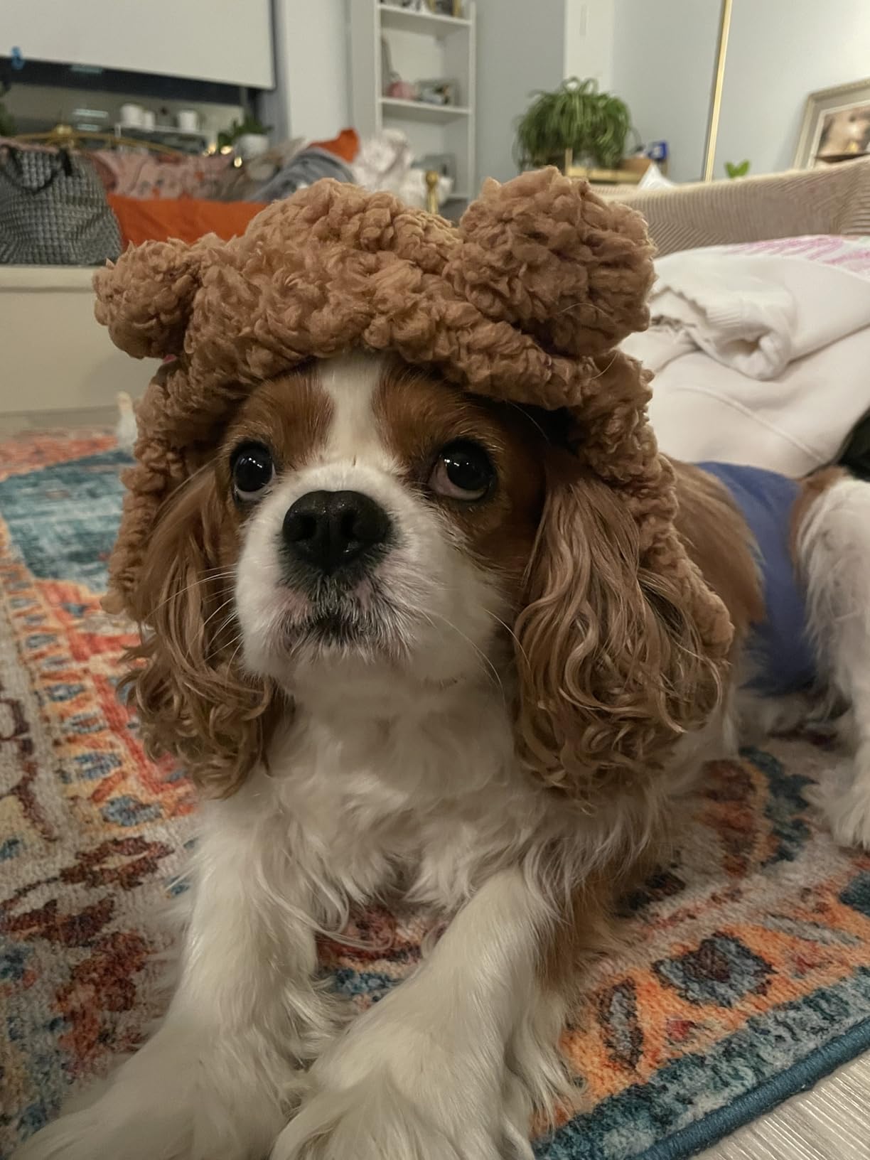 Didn’t fit but still cute