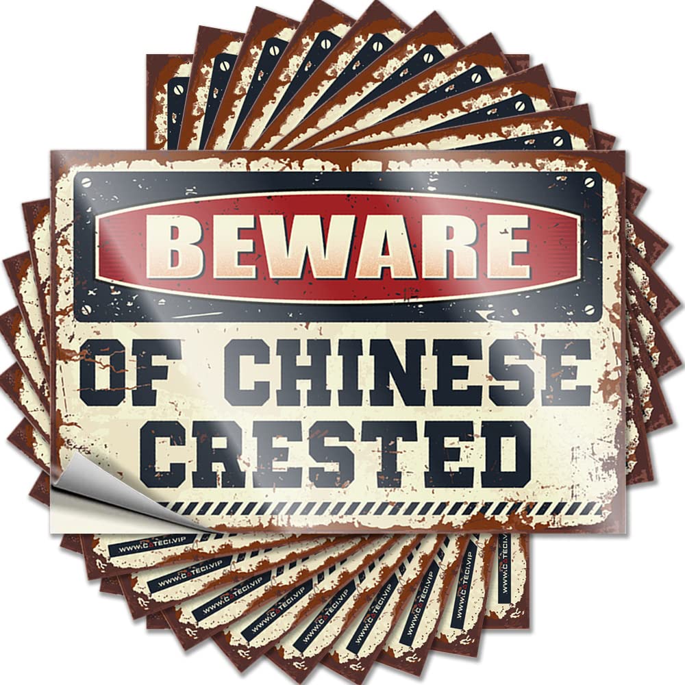 Bar Stuff Bumper Tattoo - Beware of Chinese Crested Reading Durable Sticker Easy Apply for Math Decor(8X12CM)