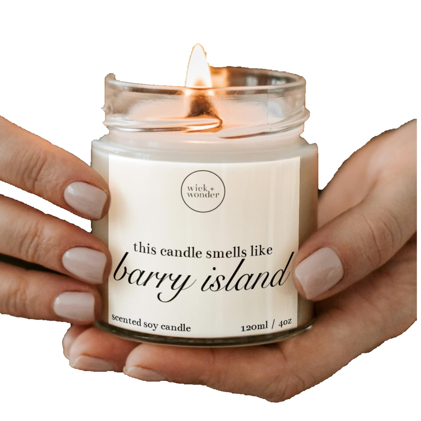 Smells Like Barry Island Candle | Luxury Soy Wax | Gavin & Stacey Fan | Funny Welsh Gifts (120ml, 20hrs Burn)