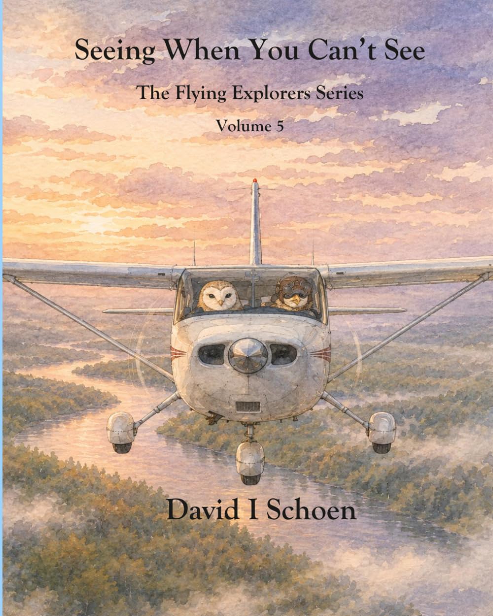 Seeing When You Can't See: The Flying Explorers Series, Volume 5