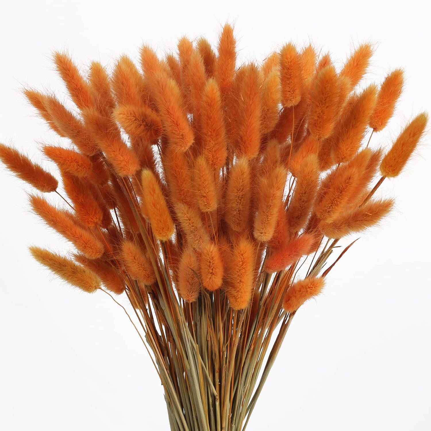 DHISUFU 120Pcs Orange Bunny Tails Dried Flowers Pampas Grass Decor ...