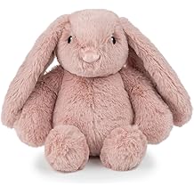 Best Pet Supplies Interactive Squeaky Dog Chew Toy, Ideal Dog Toys for Chewers, Small, Medium & Large Dogs, and Fetch Lovers - Bunny Mauve, Small