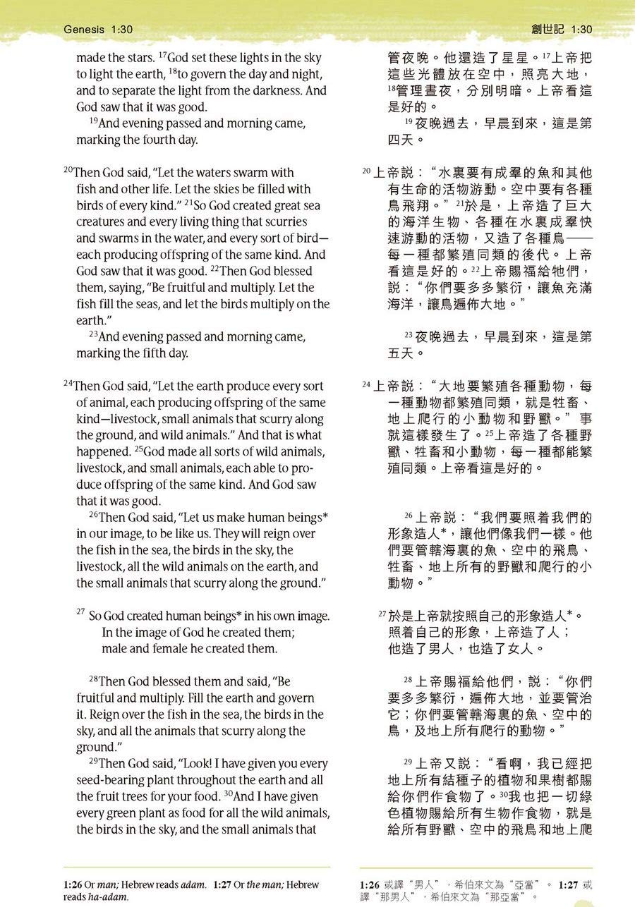 聖書　英語　NLT Amazon.com: バイリンガル聖書[旧新約] 新改訳2017/ESV (いのち
