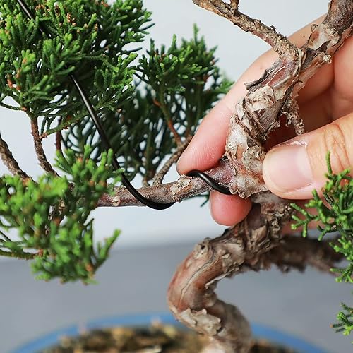 Miniatura 7 de Wazakura Alambre de entrenamiento para bonsái de aluminio anodizado negro de 5.29 oz fabricado en Japón (0.197 in, negro)