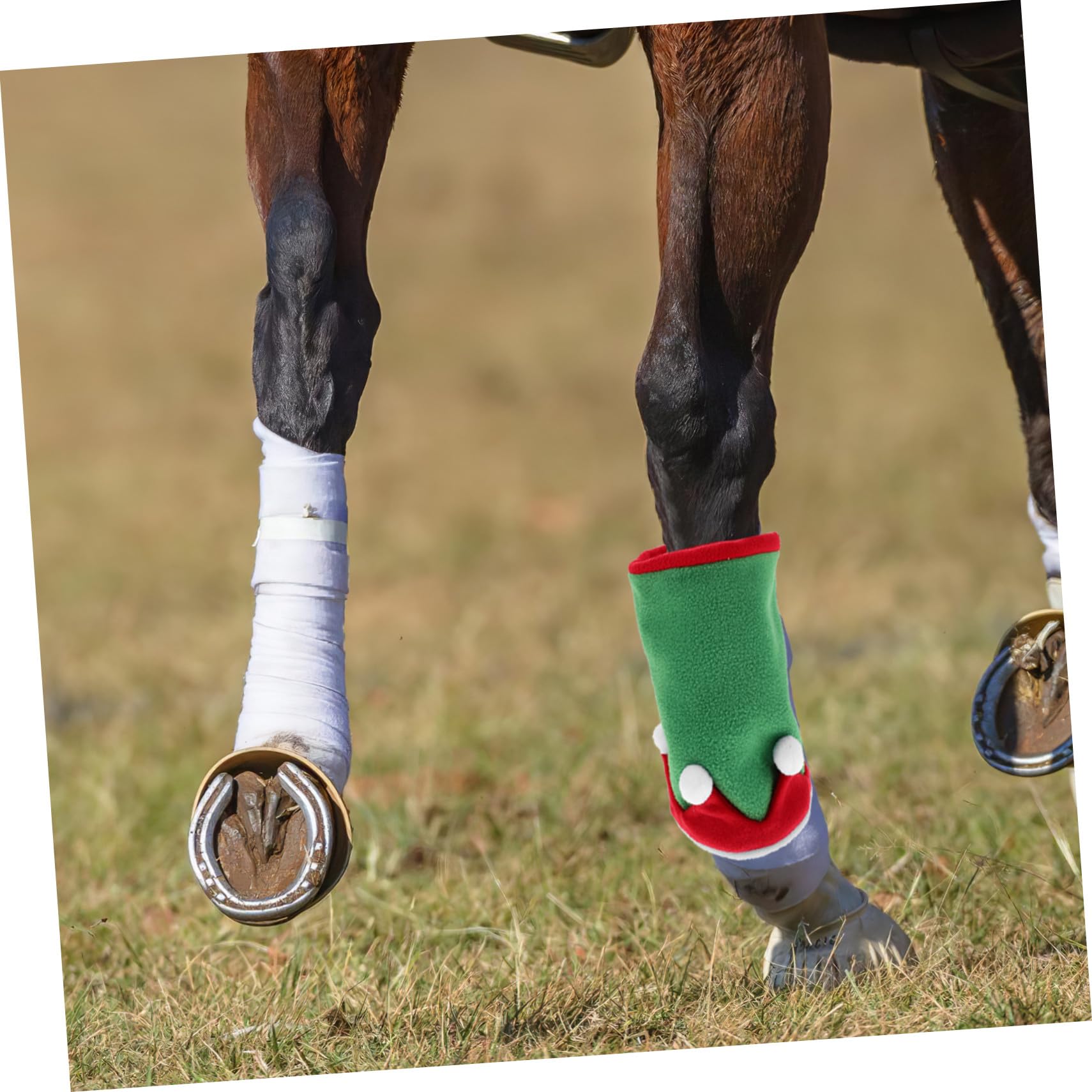 Fasce per Gambe del Cavallo e Cappello da Elfo Natalizio Accessori per Costumi da Cavallo Decorazioni per Feste di Natale