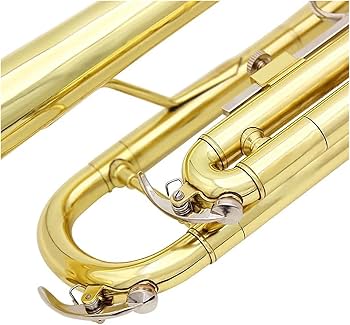 Amazon.co.jp: トランペット楽器 ゴールデントランペット Bb B