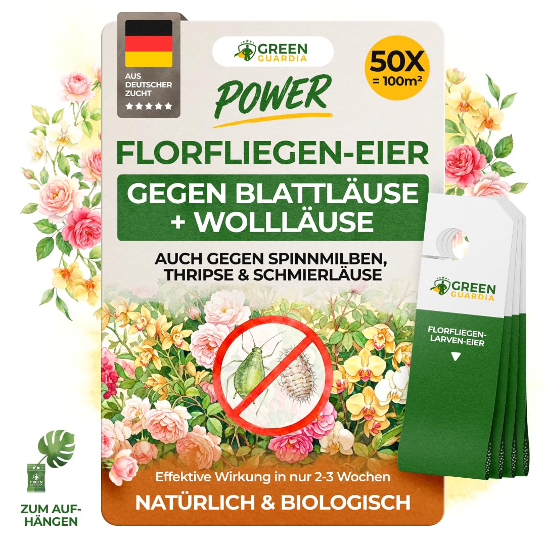 GREEN GUARDIA Power - 50 larve di mosche per piante, contro afidi, pidocchi, tripsi e acari dei ragni, lotta biologica dei parassiti per piante da appartamento e piante ornamentali