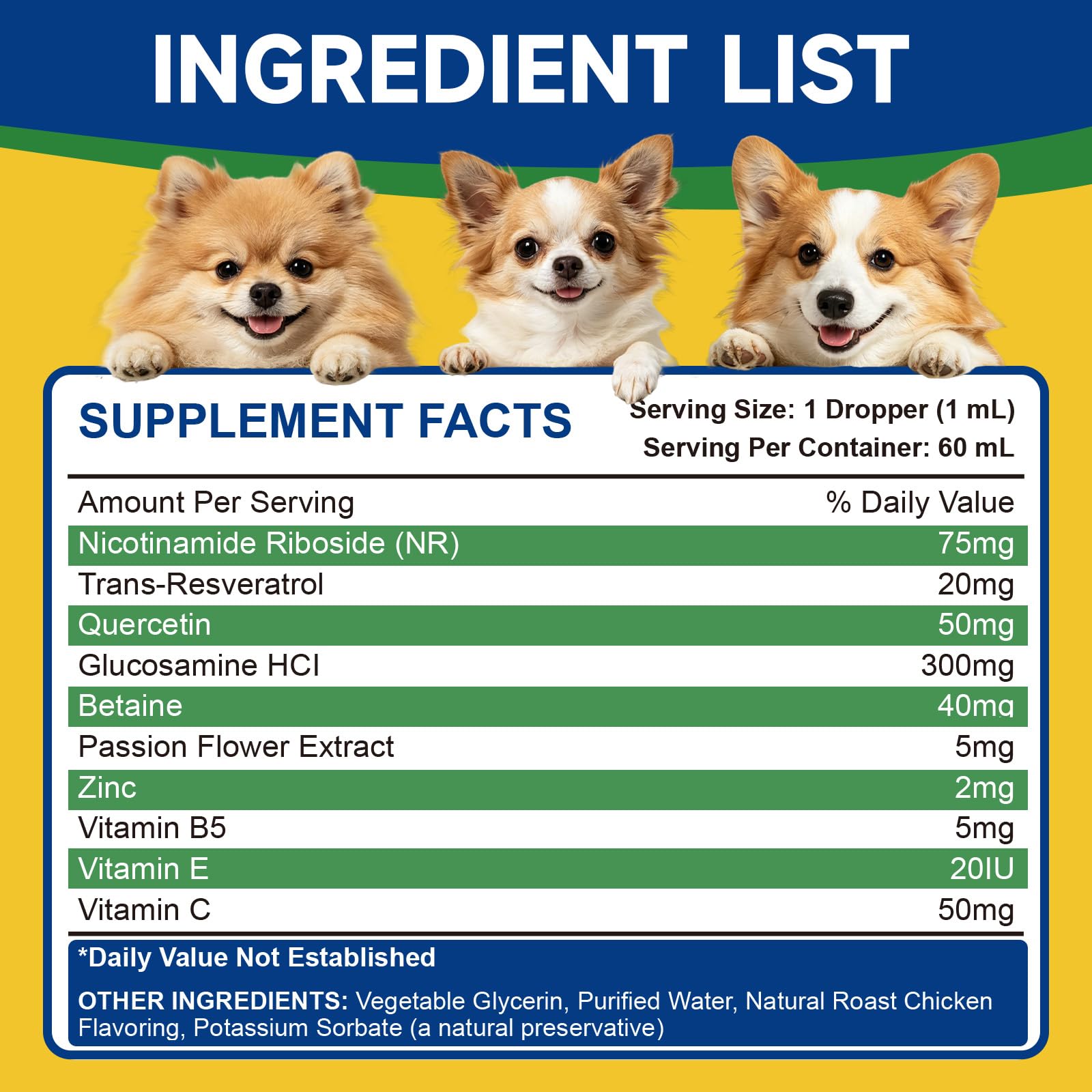 NAD+ Longevity Supplement for Senior Dogs, Vitality, Cognitive Health, 60ML — Amazon image 9