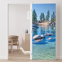 Vista 97 de wall26 - Mural de Bosque Denso - Mural de pared, calcomanía removible, decoración del hogar - 66x96 pulgadas