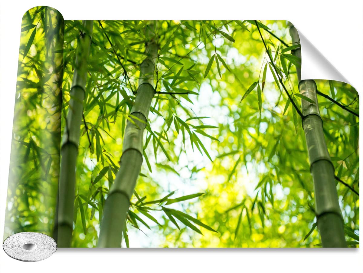 Papier Peint Branche de Bambus Camouflage 416x254cm Tulup Décoration