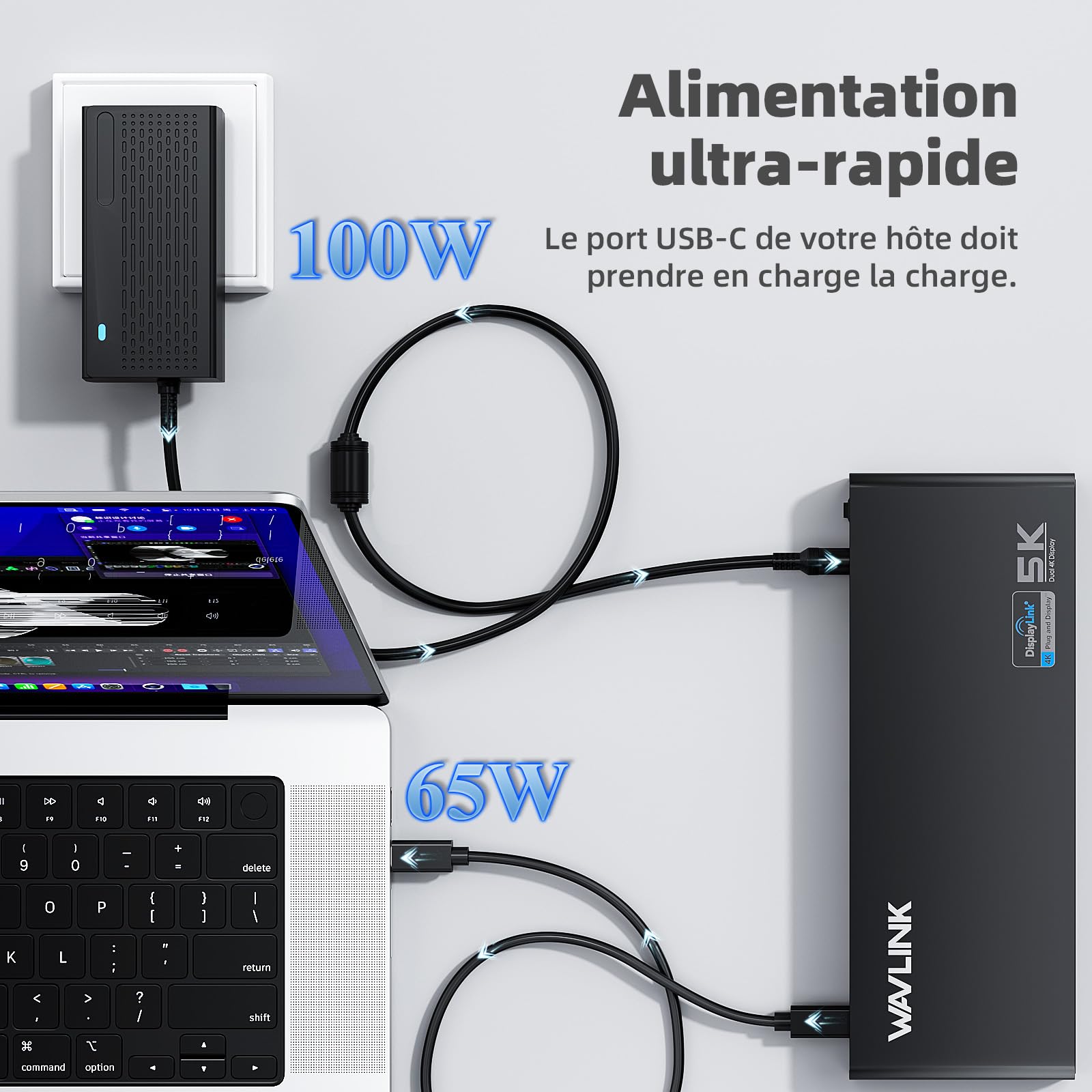 WAVLINK Displaylink USB C Station d'accueil Universelle avec 2 x HDMI & DP 65 W PD, Gigabit Ethernet, 6 × USB 3.0, Audio, Microphone, Compatible avec Mac OS et Windows
