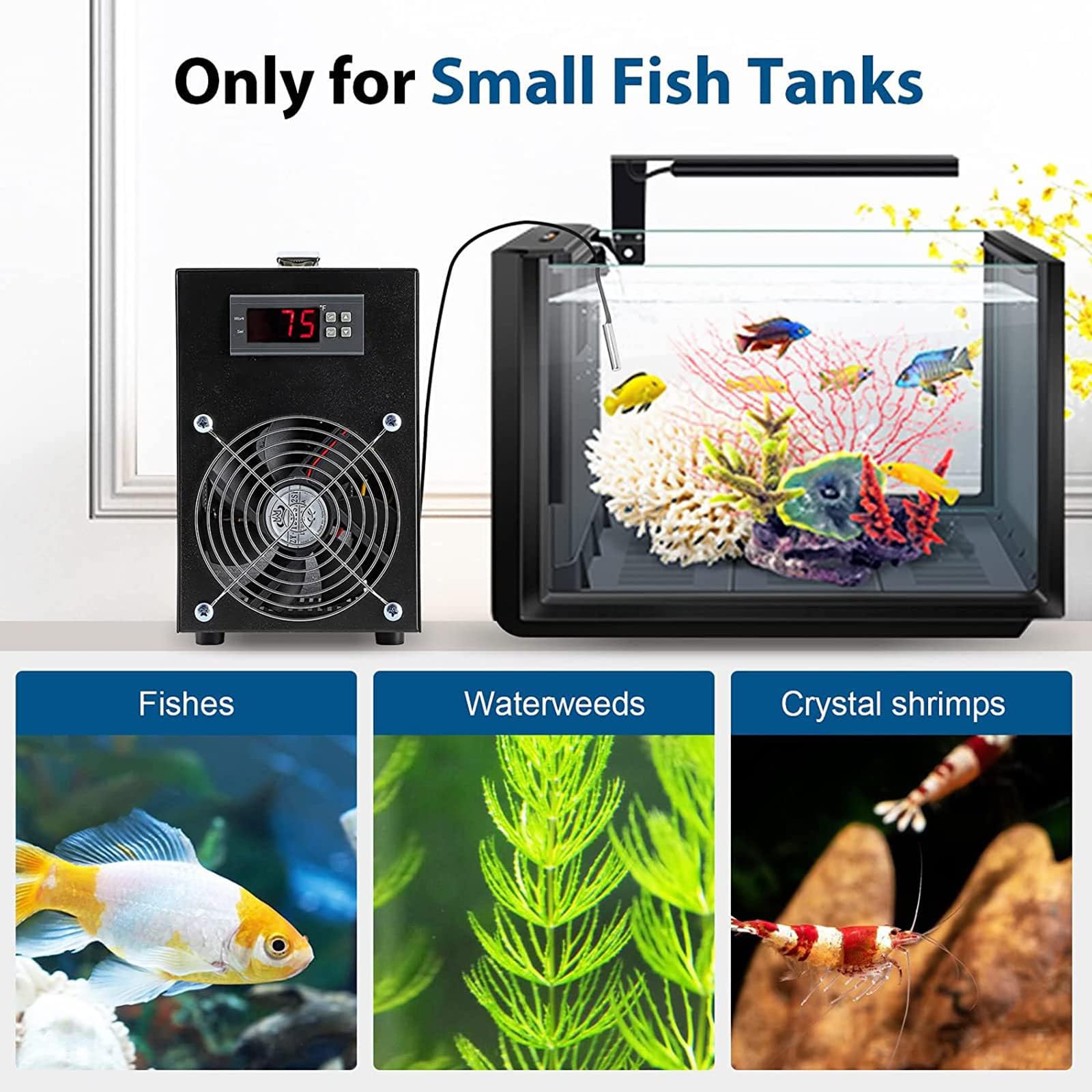 Raffreddatore Per Acquario Da 180W, Piccolo Acquario Termostatico Domestico Da 60L , Raffreddatore E Riscaldatore Per Acquario, Per Coltura Idro-ponica Con Acqua Di Mare/Acqua Dolce,Cooling&Heating