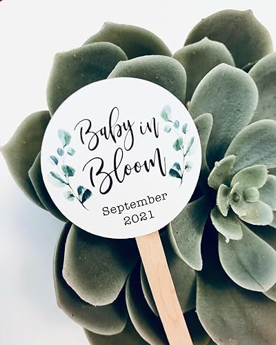 Succulent Favor Tags Baby Shower Thank you Tags on Stick Baby in Bloom - pack of 10