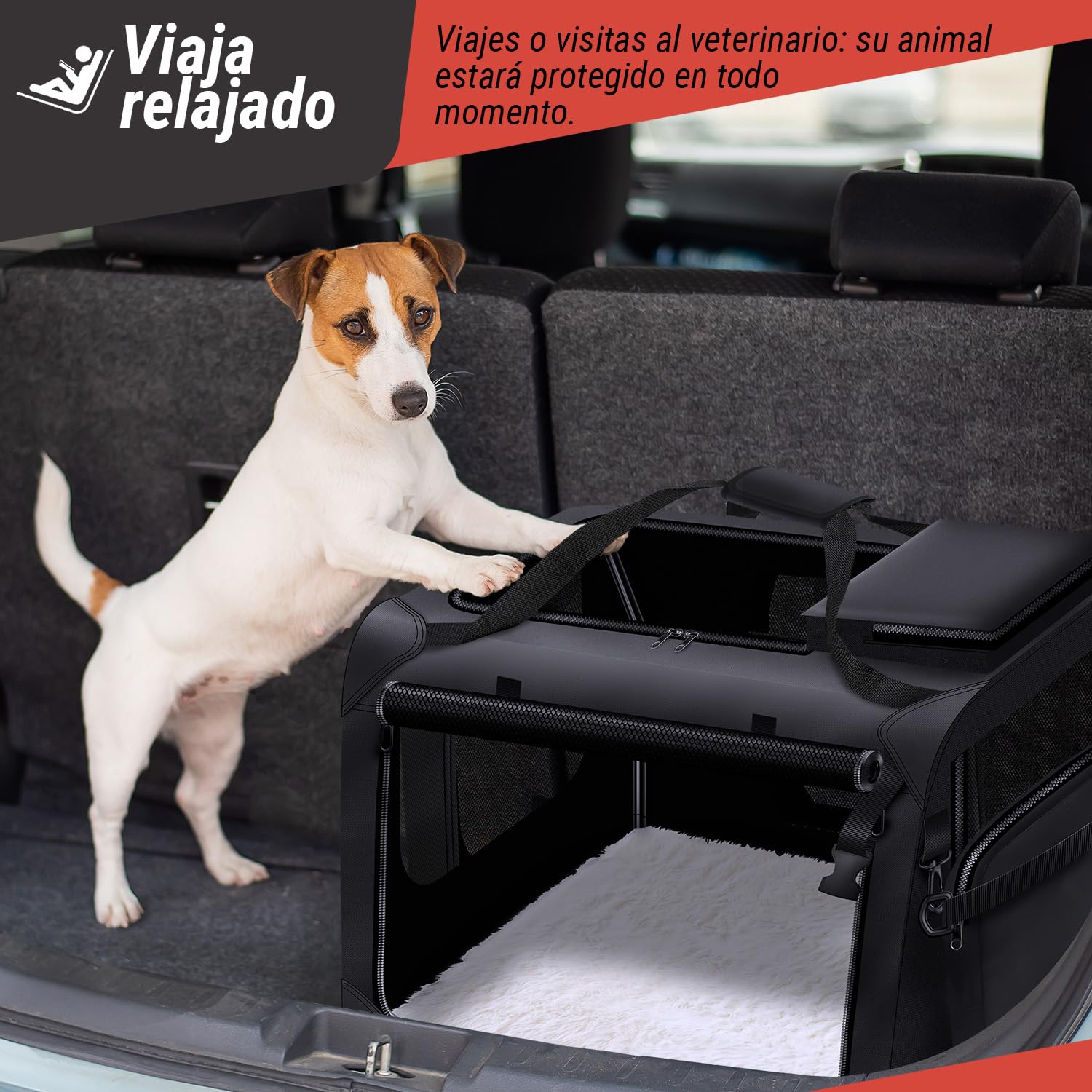 all Pets United® Transportín Plegable para Perros XL - 82x60x60 cm | Bolsa de transporte extensible - estructura de acero - nailon Oxford - apta para tren, coche y avión
