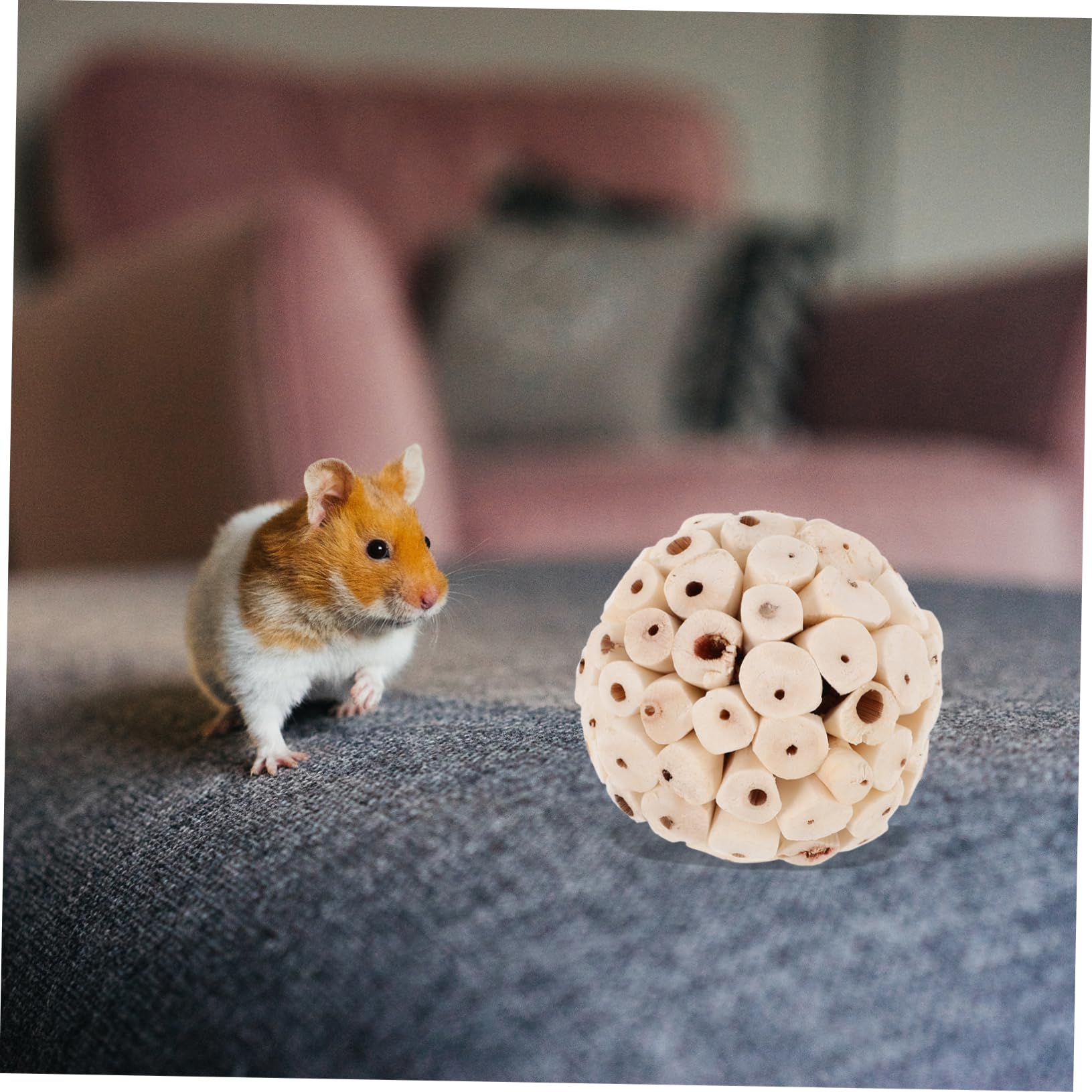YARNOW 30pièces Jouets à Mâcher pour Oiseaux Et Rongeurs De Naturelles pour Perroquets Hamsters Et Cobayes Accessoires pour Animaux De Compagnie