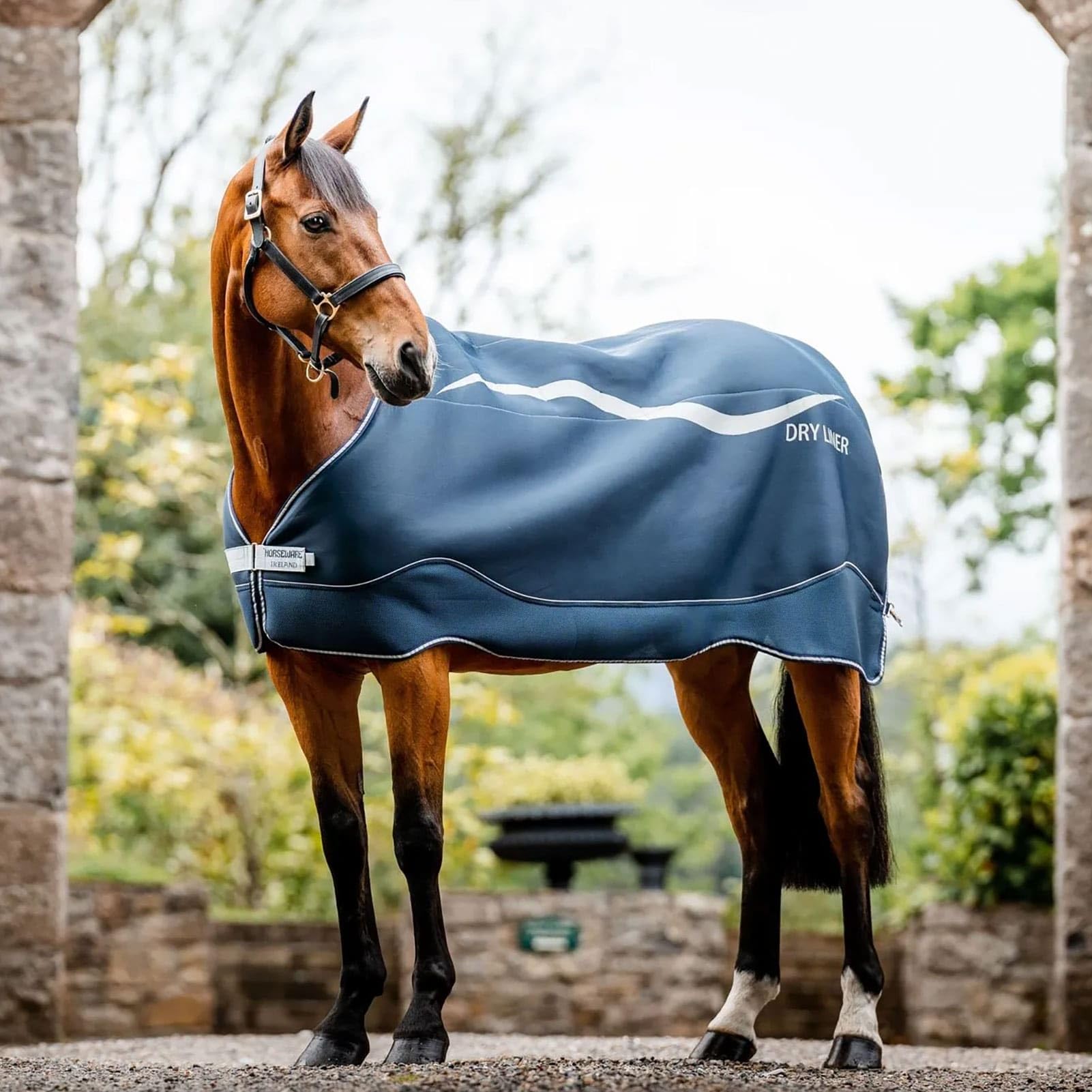 Horseware Dry Liner 78 Navy évite le coup de froid du cheval humide