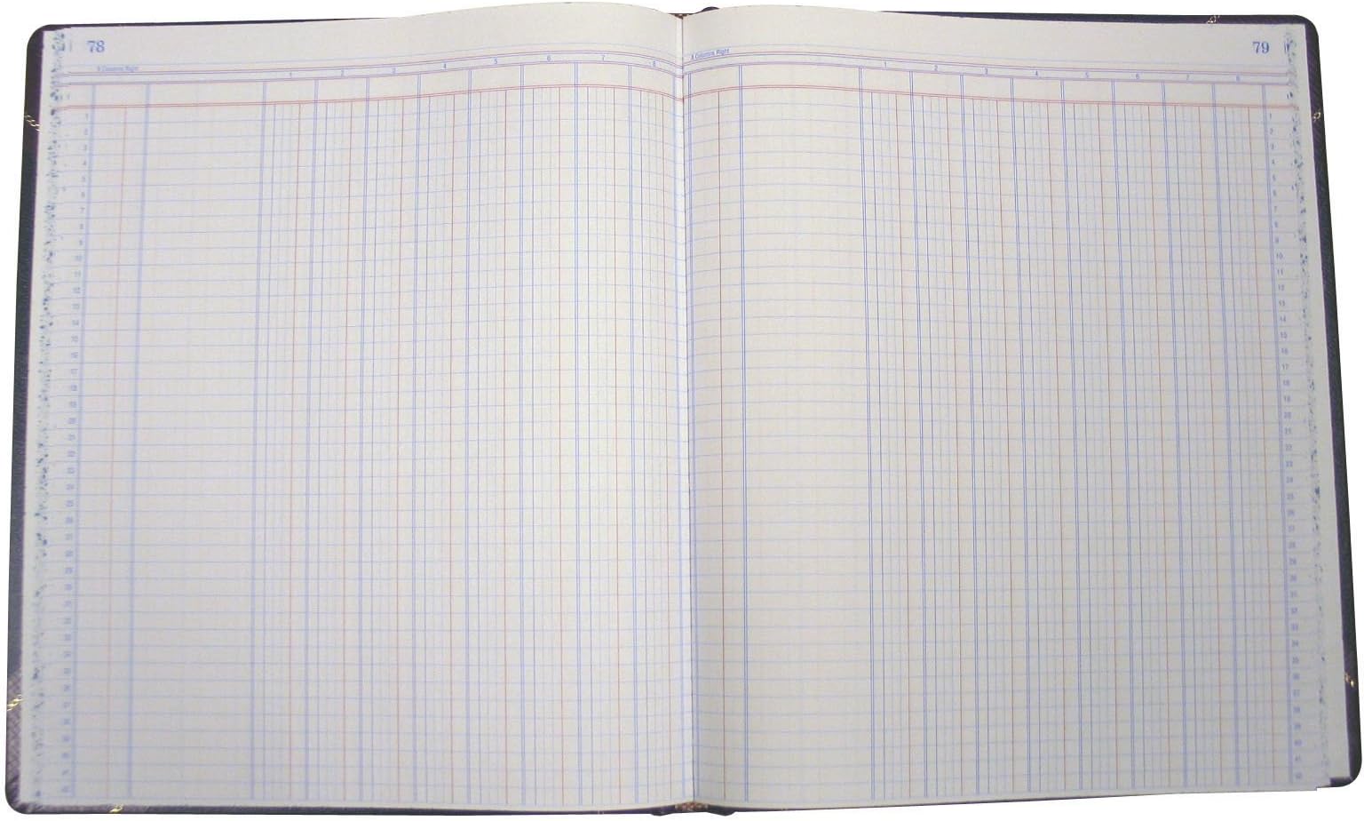 National Rediform Record Book, Black Ultima, 12.25 x 10.125 inches, 300 Pages (A1602123F)