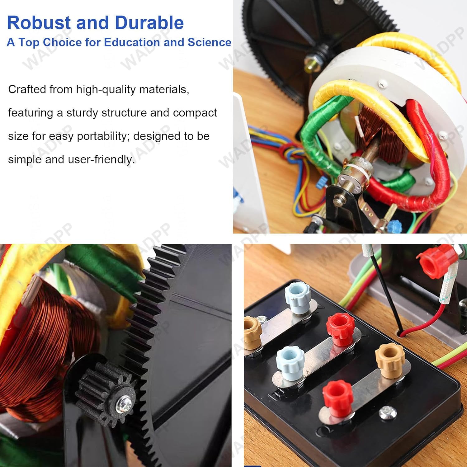 Three Phase AC/DC Generator Model Hand Crank Electric Generator Physics Experiment Kit, STEM Science Education Teaching Instrument for Middle High School Classroom Lab, DIY Electricity Learning