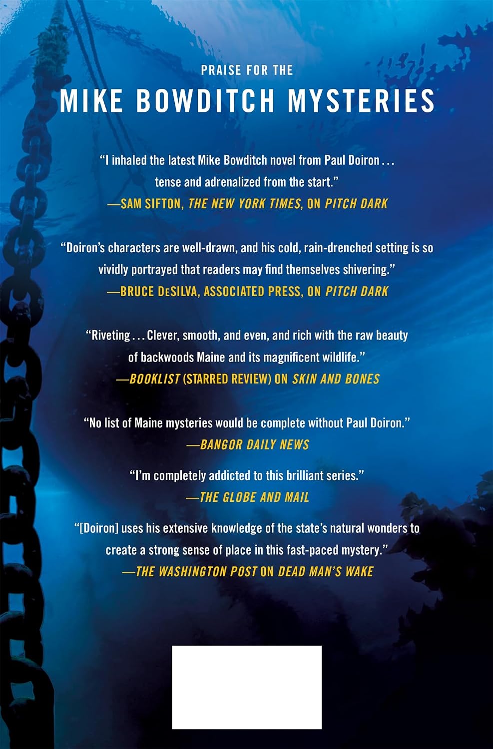 Storm Tide: A Novel (Mike Bowditch Mysteries, 16)