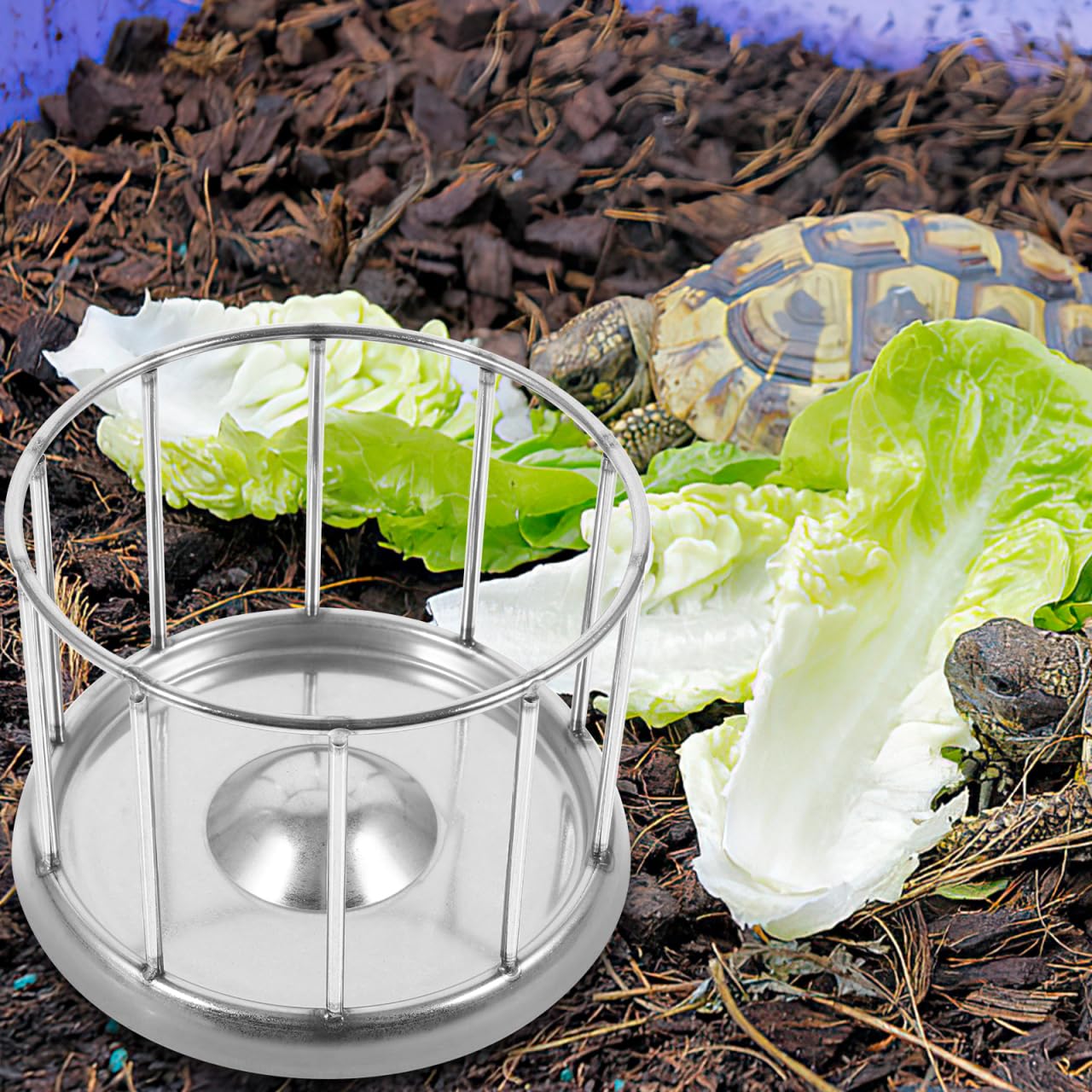 Cabilock Distributeur de Nourriture en Acier Inoxydable pour Tortues et Reptiles avec capacité - Élégant Bol de Nourriture avec Finition Fine pour terrariums et Cages pour Animaux de Compagnie