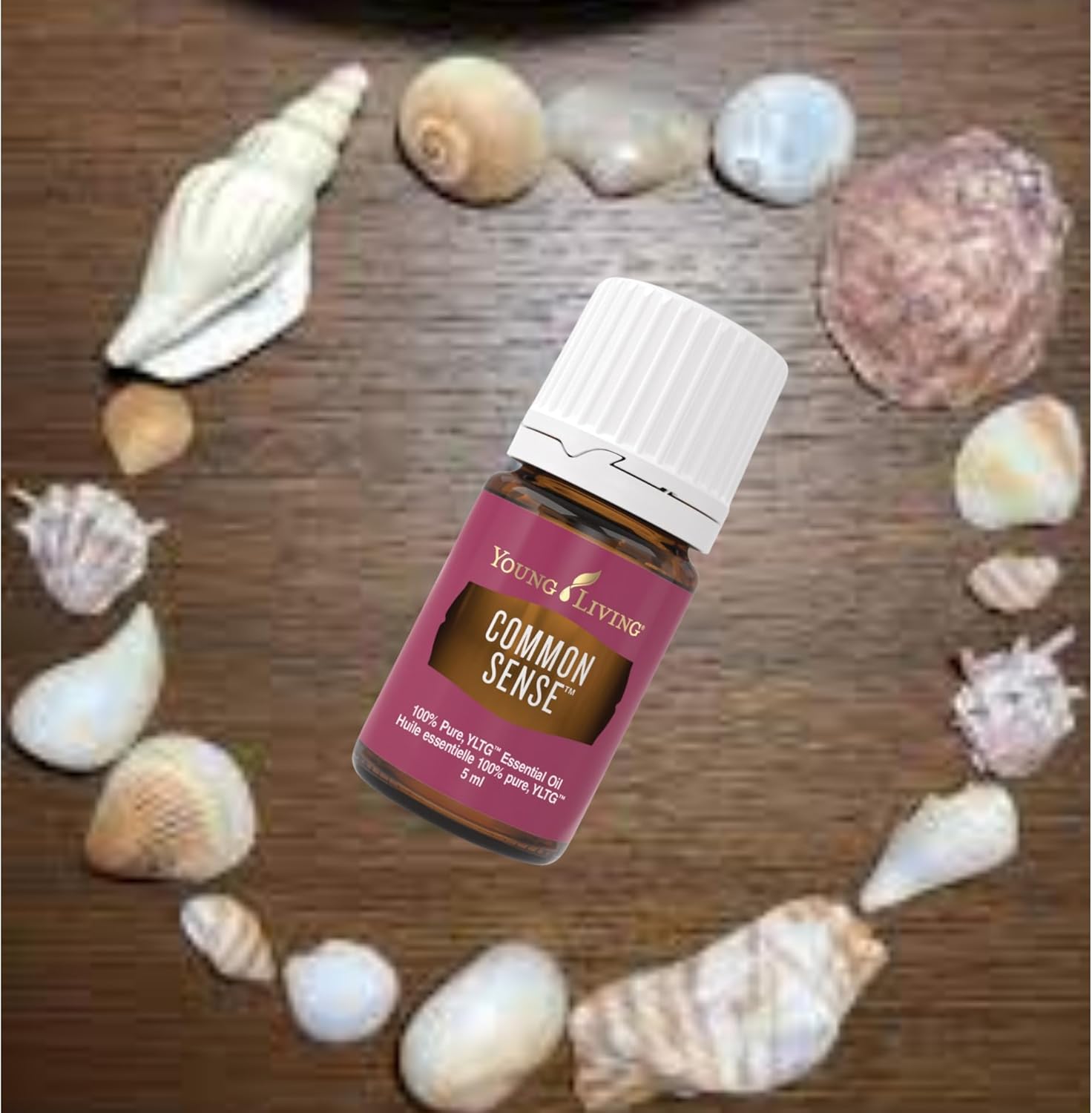 Young Living Common Sense Essential Oil - 5ml - Perfect for Diffusing During Meditation - Aroma for Mental Clarity and Focus - Frankincense and Ylang Ylang Blend