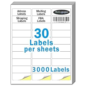 Amazon.com : HokLa Paper Mailing Labels, 3000 (100 Sheets