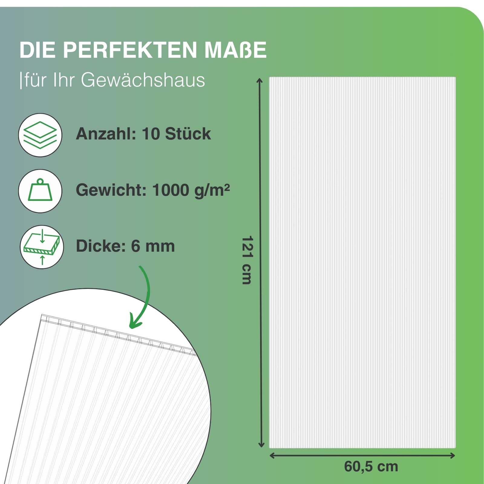 10x Gewächshausplatten 6 mm I Polycarbonat Hohlkammerplatten für Gewächshäuser I PC Doppelstegplatten UV-beständig & bruchsicher I für Garten, Frühbeet uvm I 60,5cm x 121cm I Transparent