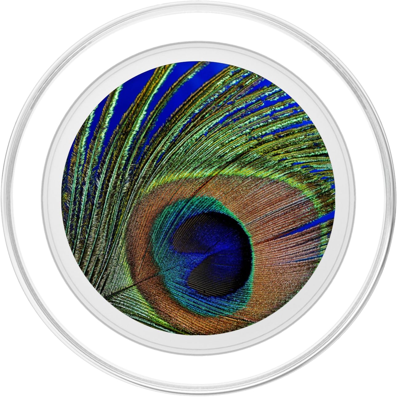 Peacock PopSockets MagSafe PopGrip for iPhone