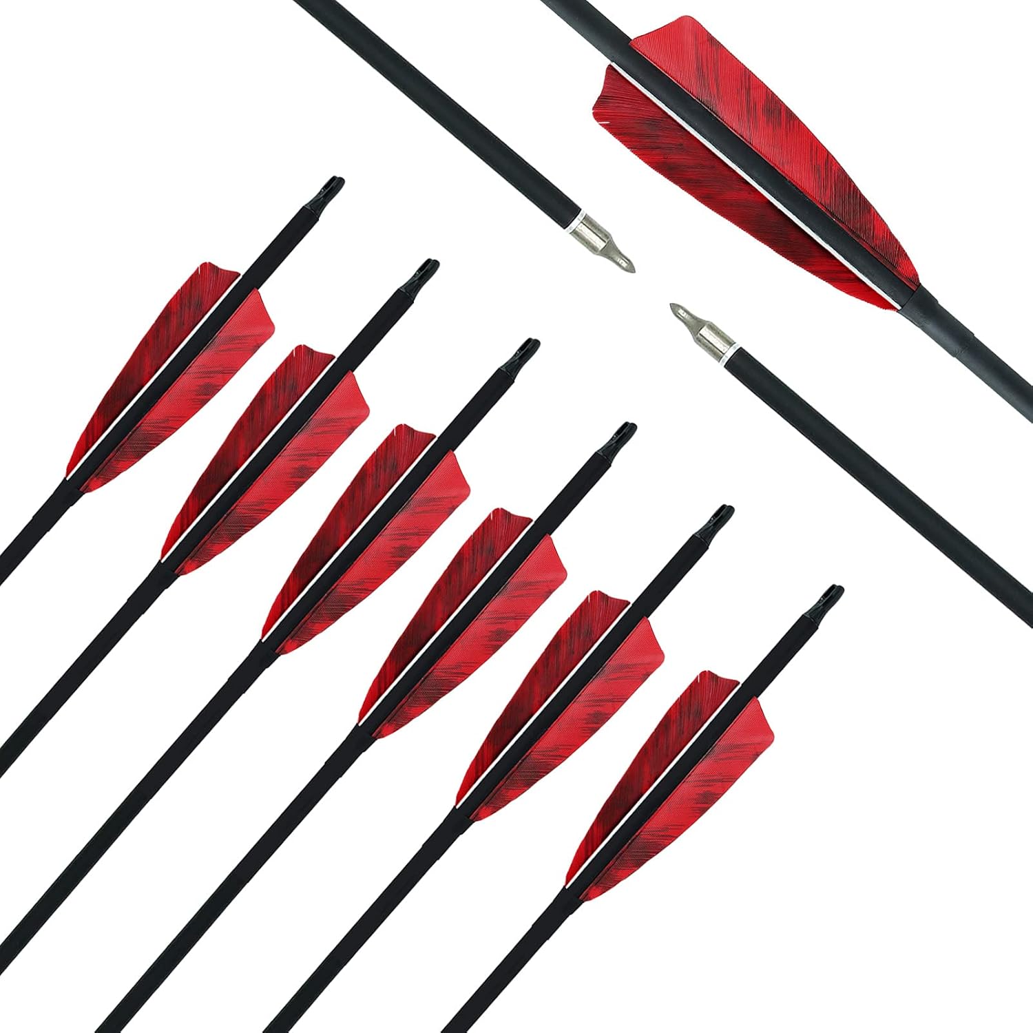 Archery Carbon Arrows 31" Hunting Arrows 500 Spine Arrow with Replaceable Tips Natural Fletching Targeting Practice Arrows for Recurve Bow Compound Bow Traditional Long Bow