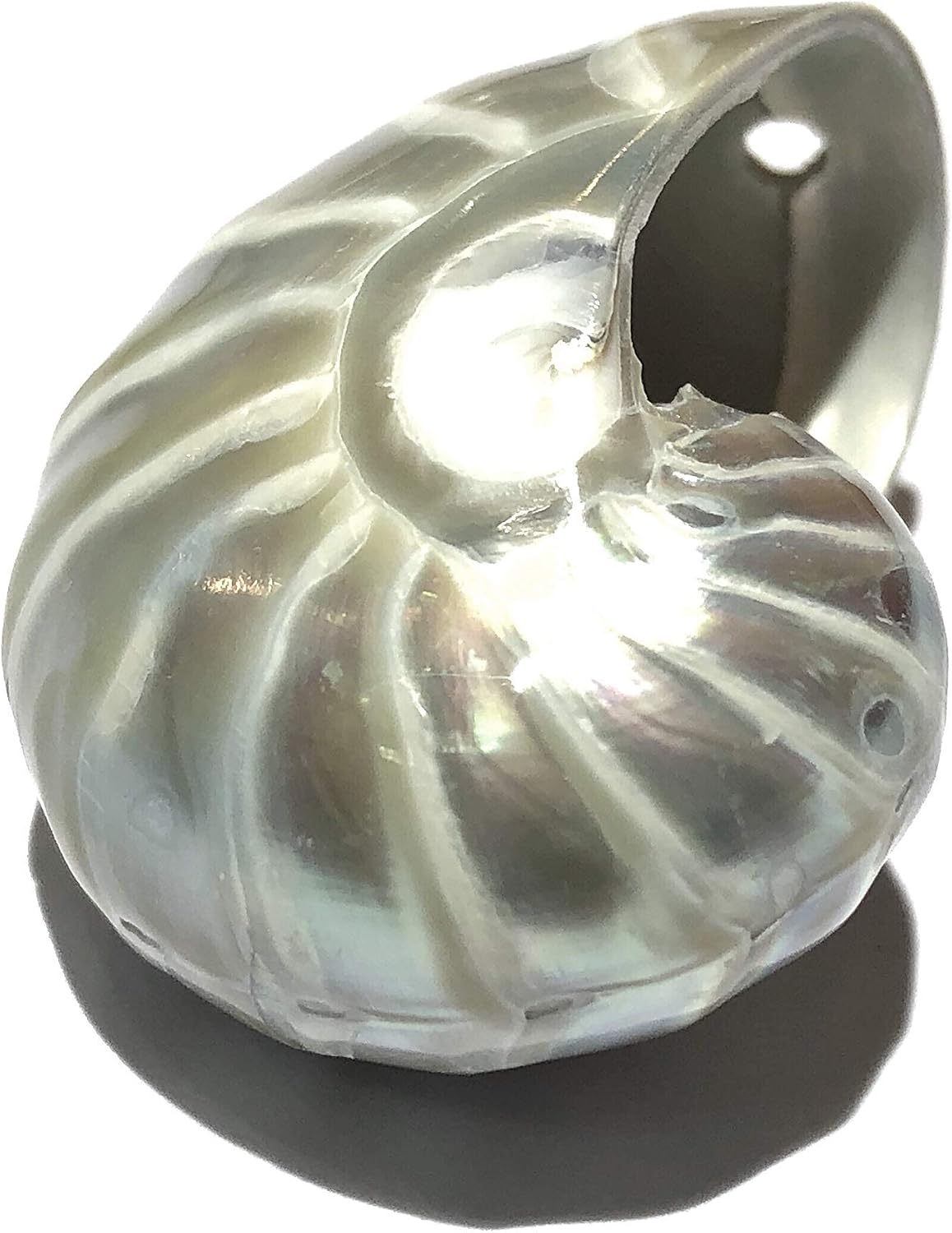 ABCGEMS Metallic-Silver Mermaid-Nautilus Pendant with Iridescent Flash (Thick Nacre, High Luster, Full Silvery Stripped Matrix) Jewelry Making Keychain Charms Ornaments Top-Drilled 35mm (1 Pcs)