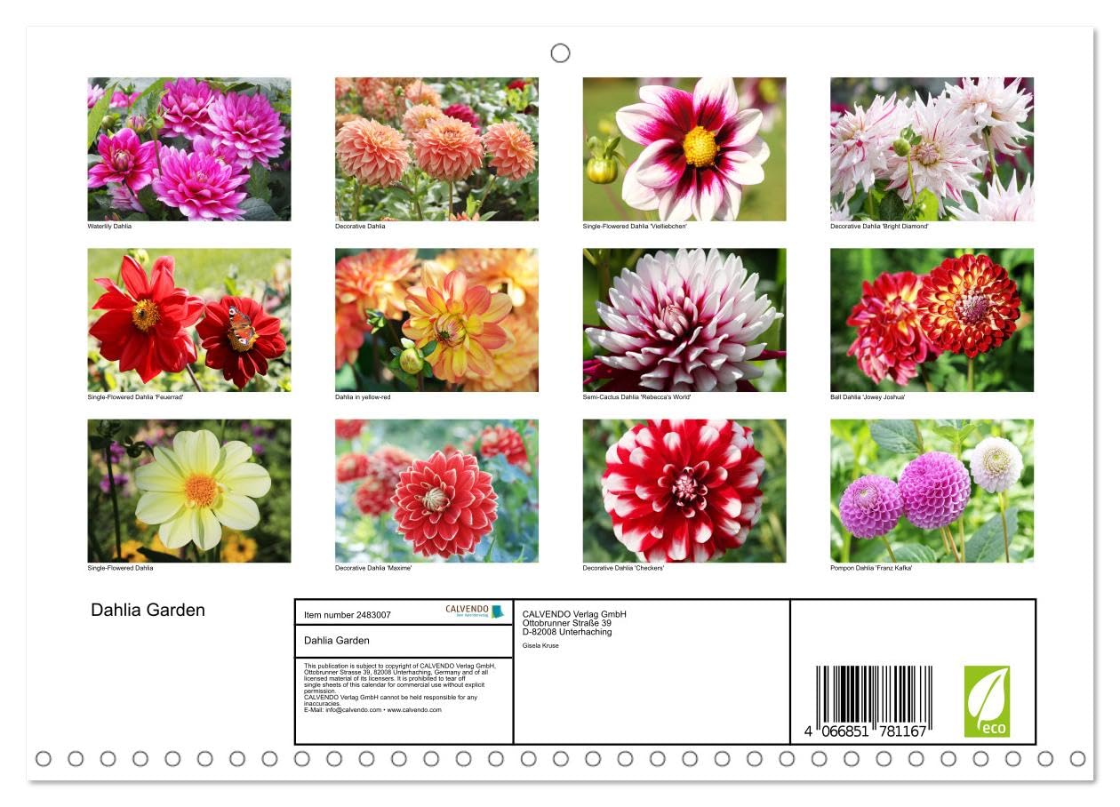 Calendar 2027 · Jardin de dahlias