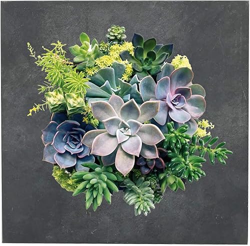 Vista 92 de Vandue Modern Home Living - Maceta suculenta de acero galvanizado de acero galvanizado (zinc envejecido, 16 bolsillos)