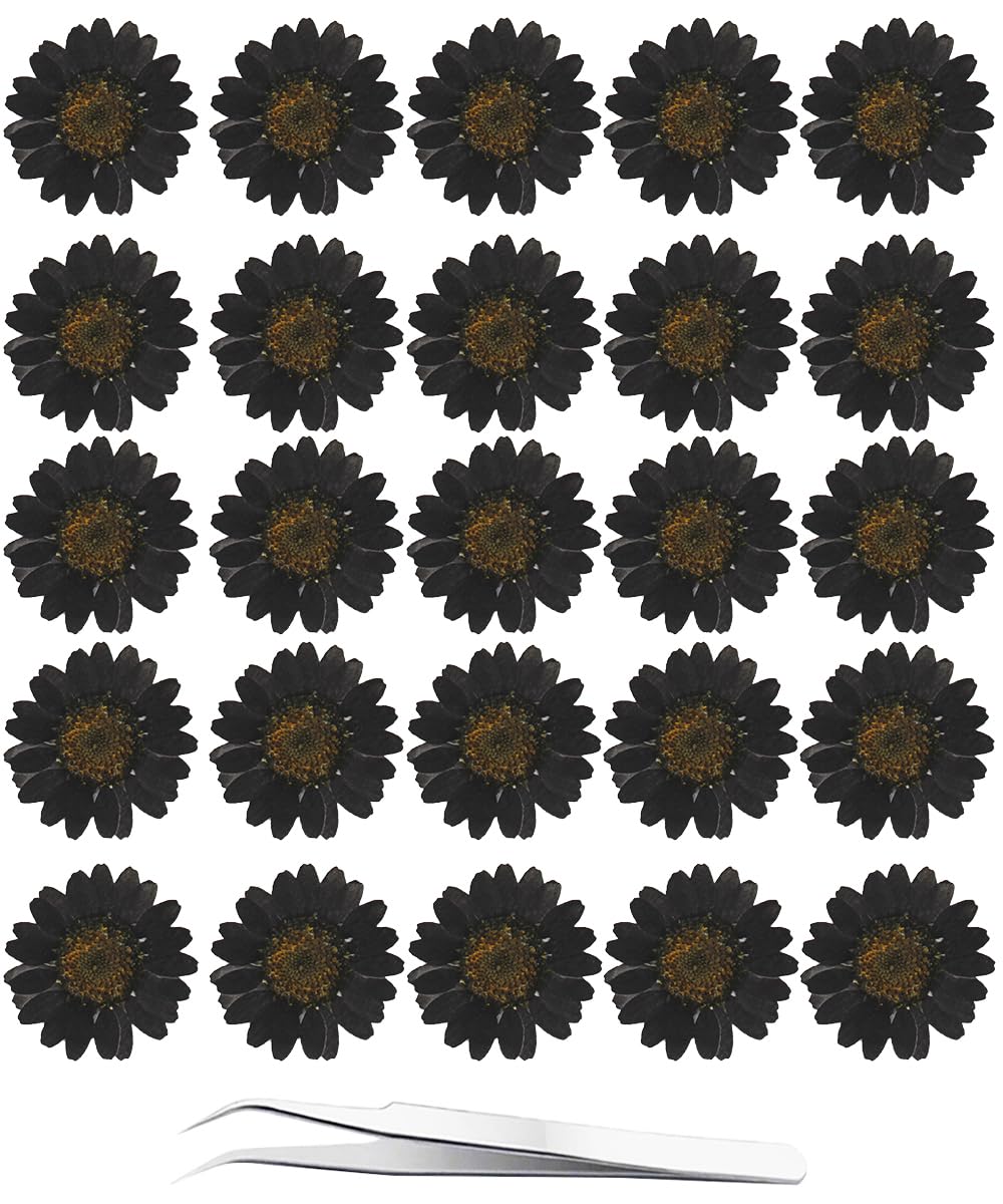 YoothBro 60 Stück Schwarze Getrocknete Gänseblümchen 60 Stück Echte Blumen aus der Natur für Harz DIY Schmuck Kerze Seife Vase Herstellung Nagelkarte Scrapbook Kunsthandwerk Blumendekorationen