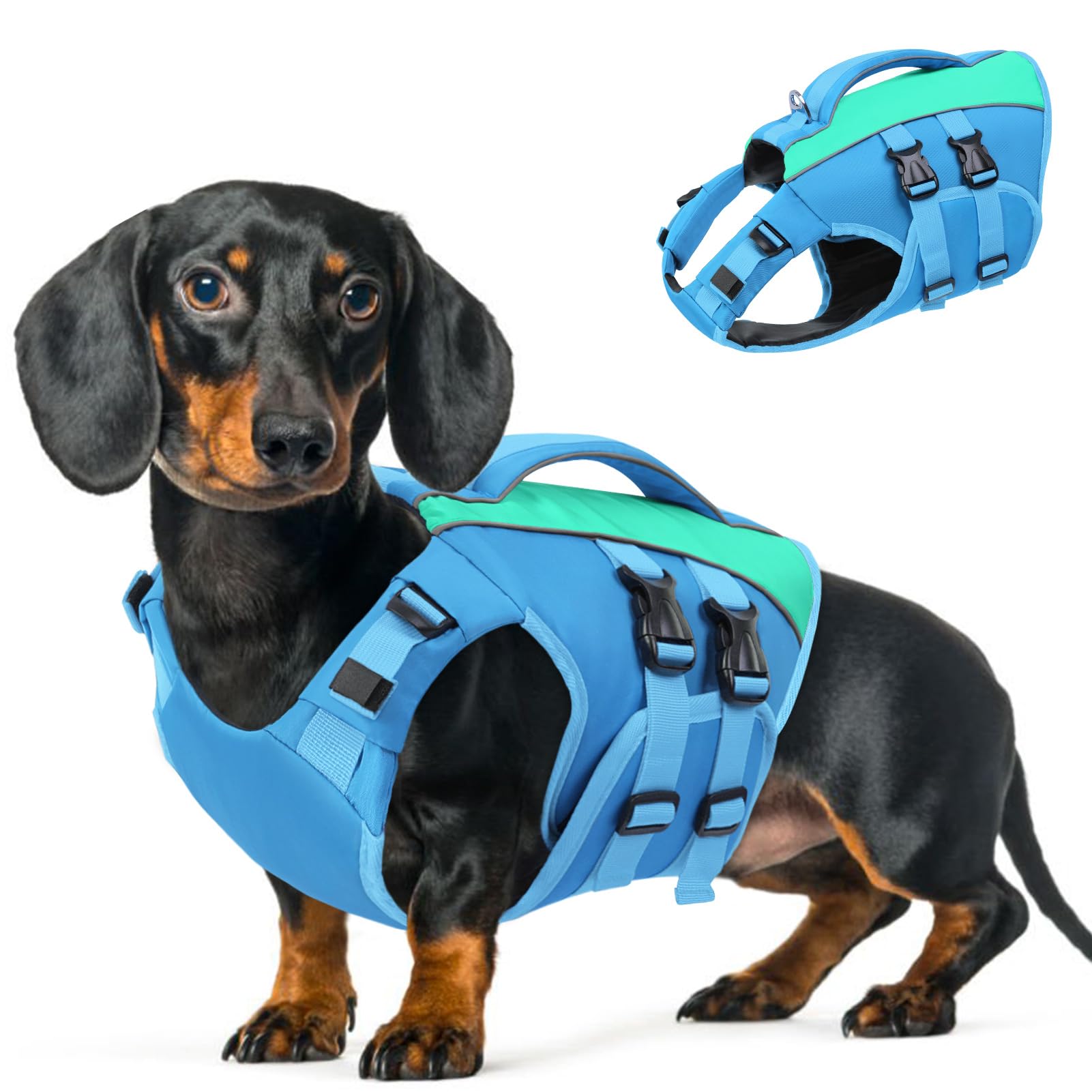 Queenmore Giubbotto Salvagente Cane Taglia Piccola - S Verde, Ripstop, Con Maniglia Di Salvataggio, Per Chihuahua, Yorkie/Cockapoo/Toygzeugpudel/Cuccioli, Piscina Cani Accessori(Blu,S)