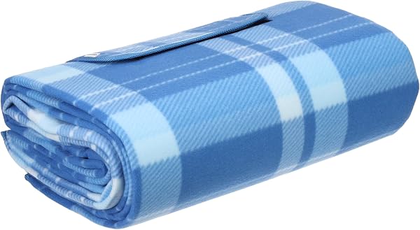 Amazon Basics Coperta da picnic con retro impermeabile, 200 x 200 cm, Blu - 4