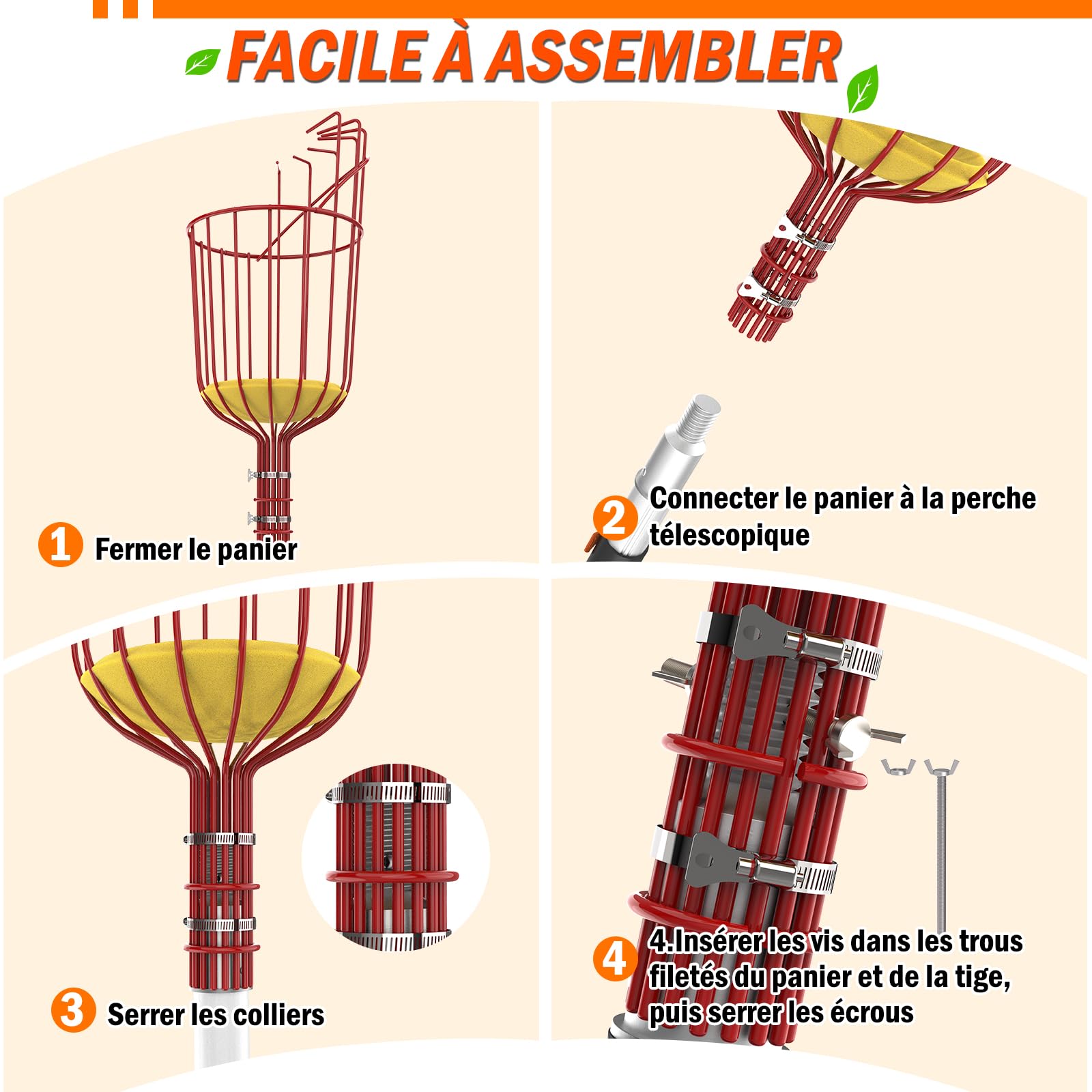 LAANPOLE Cueille Fruit Telescopique 6m avec Grand Panier de Cueillette pour Pommes, Oranges, Citrons