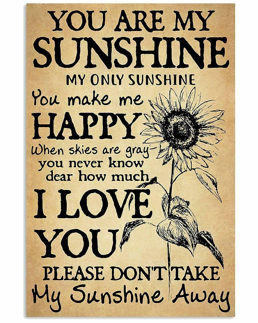 Inga You Are My Sunshine My Only Sunshine Wall Decor Poster Metal Tin Sign Poster 8x12 inches