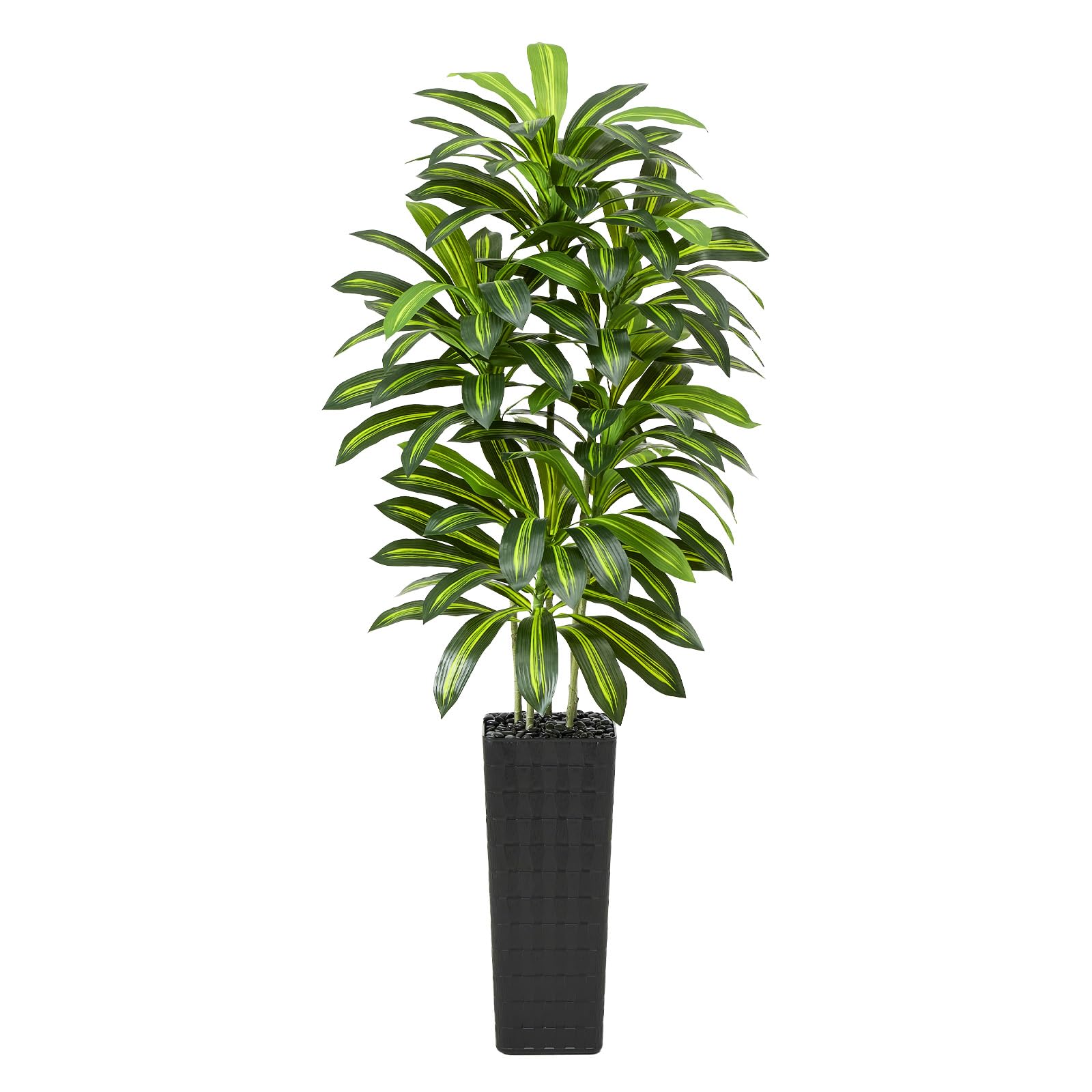 Artificial Dracaena Tree (Black, 210 cm) — image 1