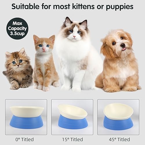 Miniatura 3 de Bulldog Bowl - Plato antideslizante de goma desmontable para perros y gatos, base inclinada estéril para mascotas (azul, 3.5 tazas (perro