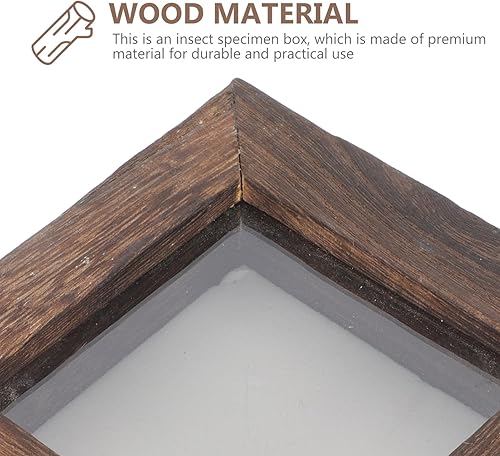 Miniatura 7 de Cabilock Caja de colección para espécimen de mariposa con parte superior de acrílico, marcada real, mariposa, taxidermia, caja organizadora de