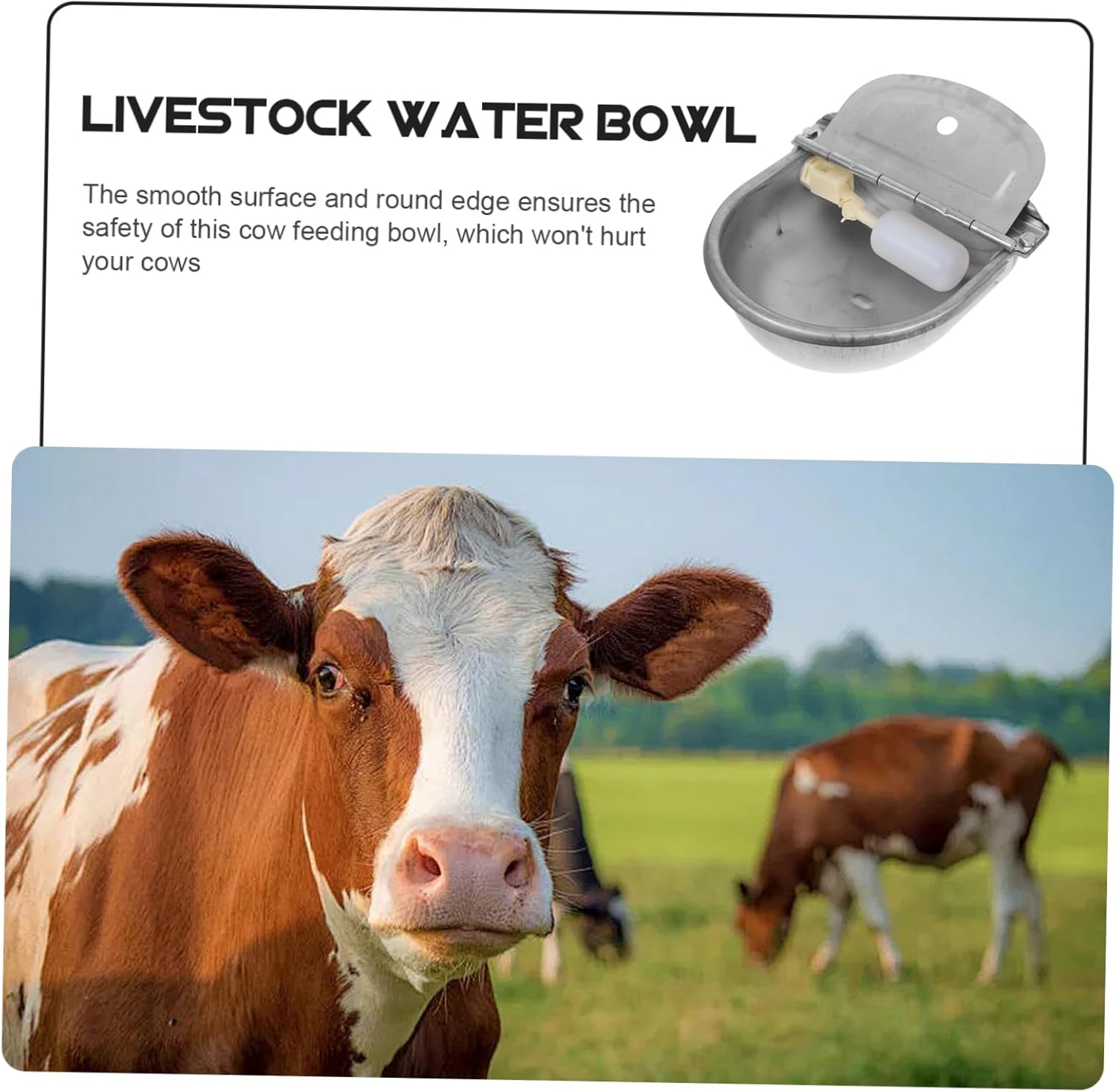 balacoo Stainless Steel Livestock Water Trough Automatic Drinking Bowl for Pigs Sheep Goats Dogs Large Capacity Farm Waterer