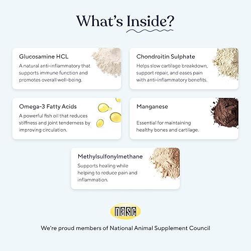 Miniatura 3 de Pawfy Suplemento de cadera y articulaciones para perros con MSM y vitaminas | Glucosamina condroitina para razas pequeñas, medianas y grandes -