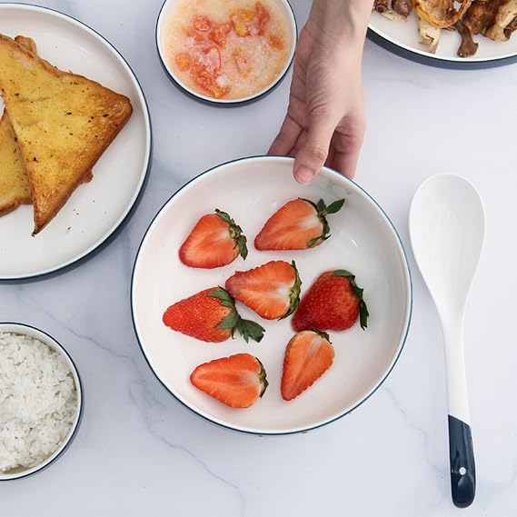 20 Piece Dinnerware Set, Porcelain Round Dinnerware Collection- Tableware Combination Set, Stoneware Tableware, Dish Set Service for 6