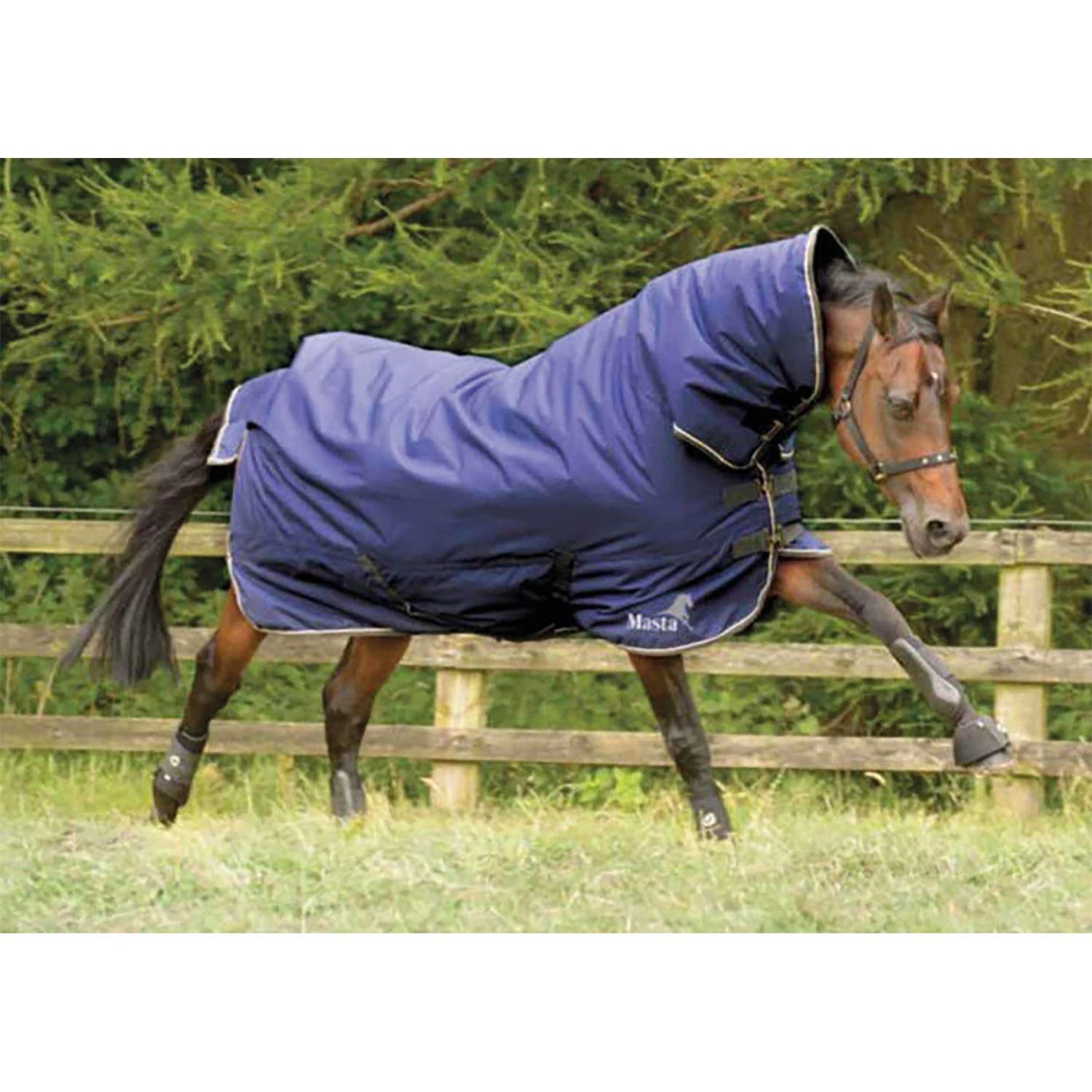 Masta Avante 170 Couverture d'écurie à col fixe Bleu marine 213 cm