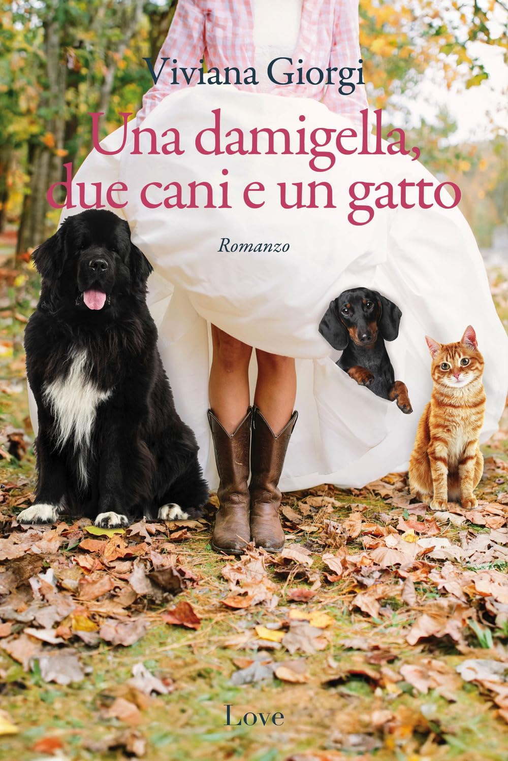 Una Damigella, Due Cani E Un Gatto - 4