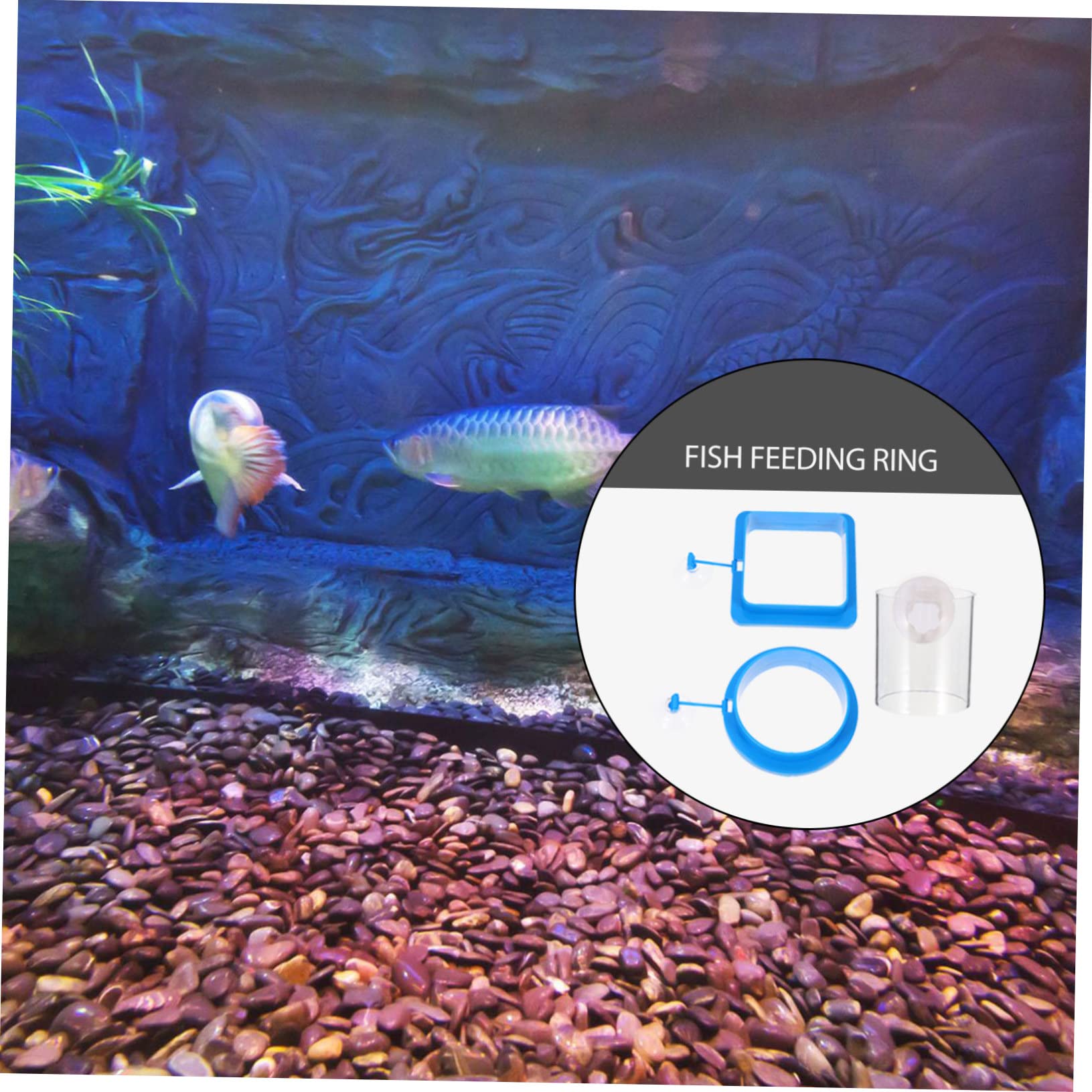 Happyyami 12stücke Fischfutterringe Schwimmende Futterringe Für Aquarien Wiederverwendbare Futterstation Für Tropische Fische Geeignet Für Flocken Und Schwimmfutter