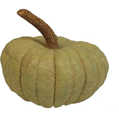Amazon.com: Hickory Manor House Long Stem Pumpkin for Home Decor, Sage ...