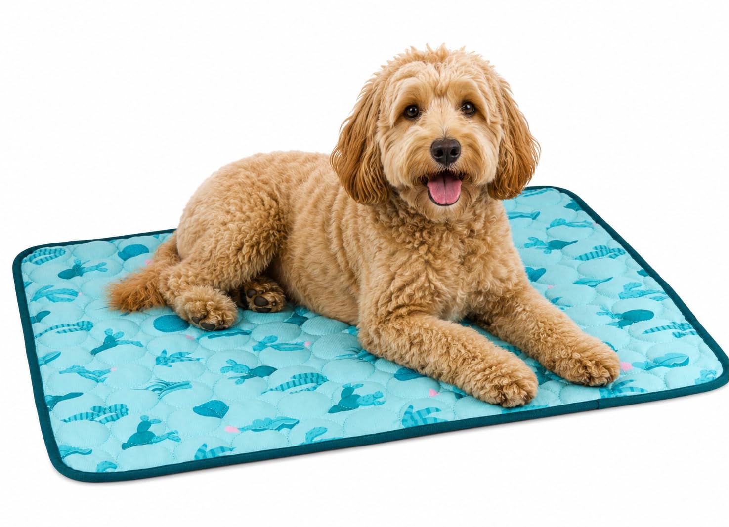 Muddy Hands Pet Cooling Mat | Self Cooling Pet Mat for Dogs, Puppies & Cats | Soft Quilted Cooling Pad | Foldable Pet Cooling Blanket for Summer & Heatwaves | Indoor & Outdoor, Blue Cacti