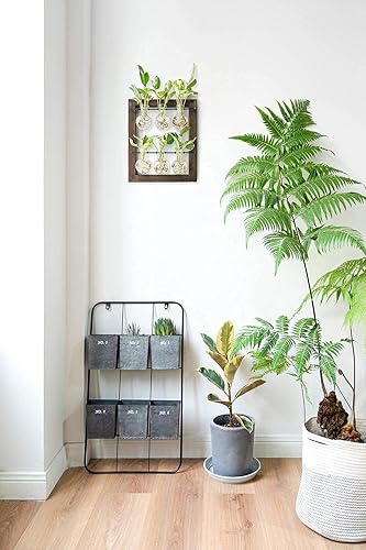 Miniatura 5 de Mkono Mini jarrones de tubo de ensayo de 3 niveles y doble capa para colgar en la pared de cristal, estación de propagación, decoración de pared de