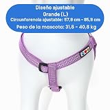 Ver la foto 4
